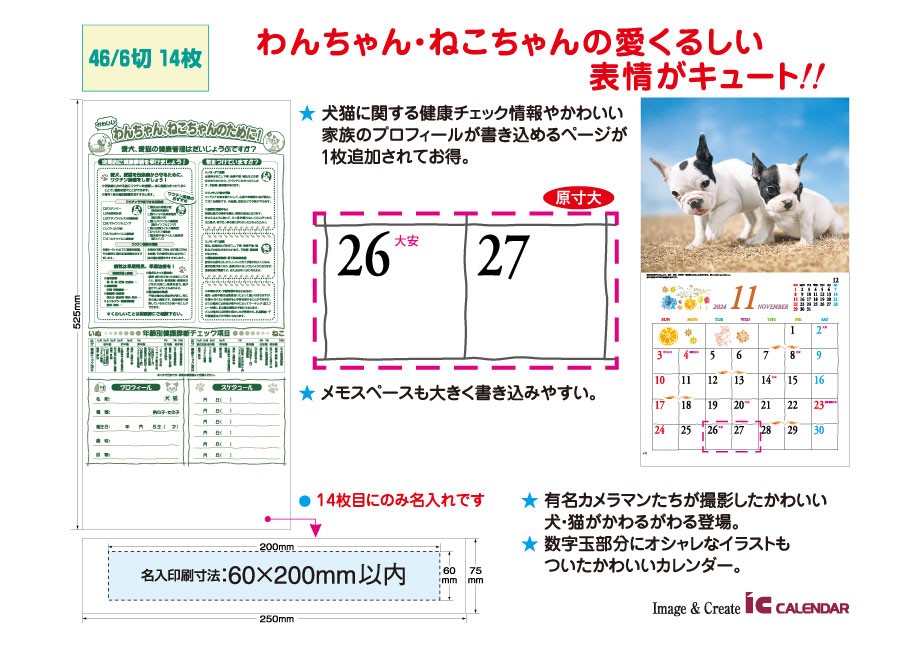 explain_IC-234  