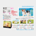 IC-840