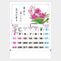 TD-851