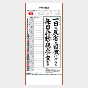 IC-300