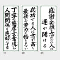 IC-300
