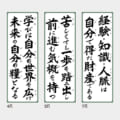 IC-300