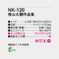 NK-120
