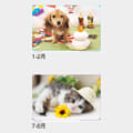 SG-216