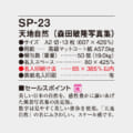 SP-23