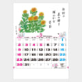 TD-851