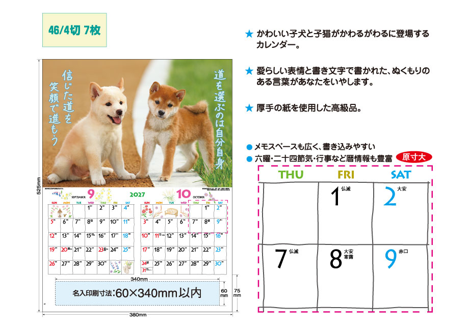 explain_IC-200H &nbsp;