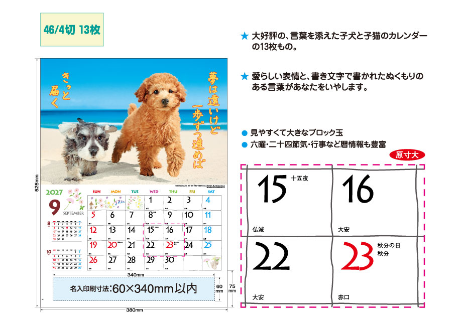 explain_IC-254H &nbsp;