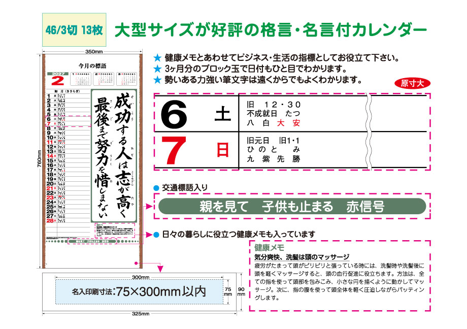 explain_IC-300 &nbsp;